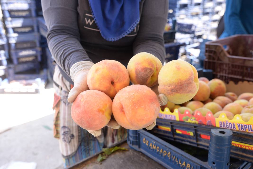 Mersin'de yerli şeftali hasadı başladı: Üreticiler verimden memnun 6